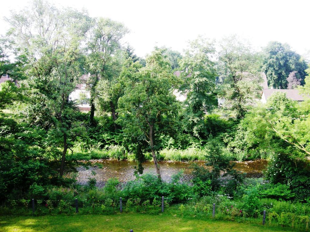 Aux Berges De La Thur Staffelfelden Kültér fotó