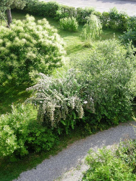 Aux Berges De La Thur Staffelfelden Kültér fotó